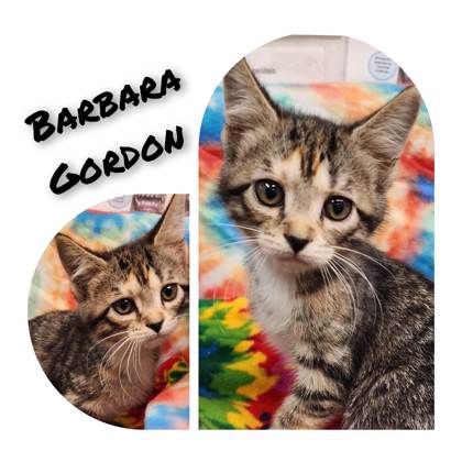 Barbara Gordon