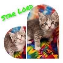 Star Lord