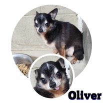 Oliver