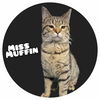 Miss Muffin