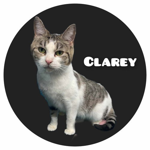 Clarey