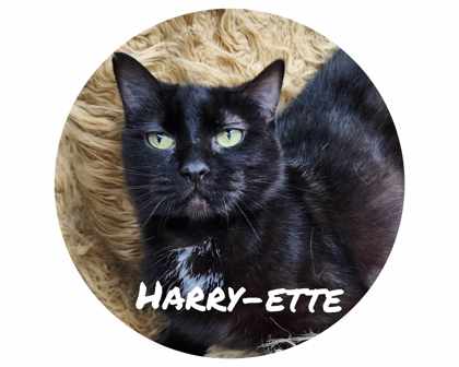 Hairyette