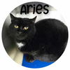Aries