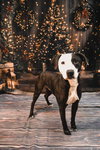 Duke