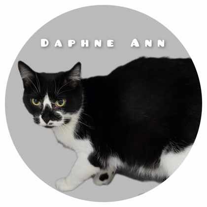 Daphne Ann