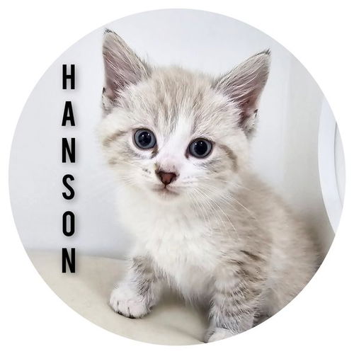 Hanson