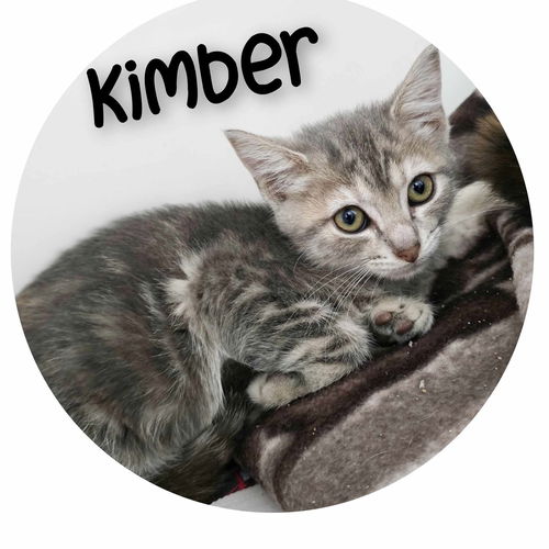 Kimber