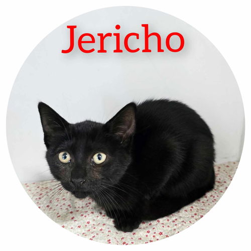 Jericho