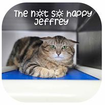 Jeffrey