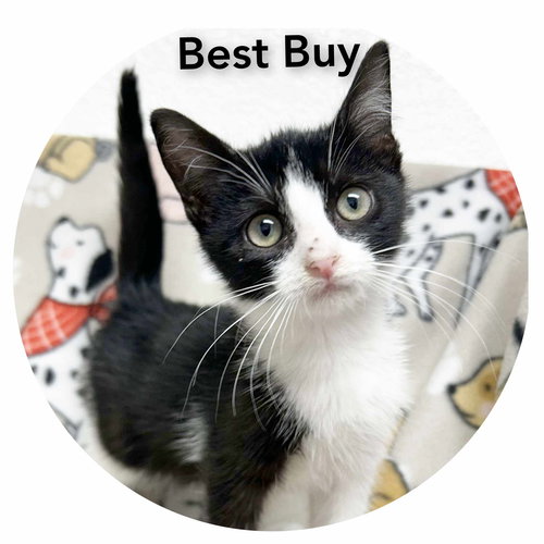 Best Buy