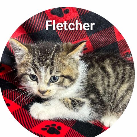 Fletcher