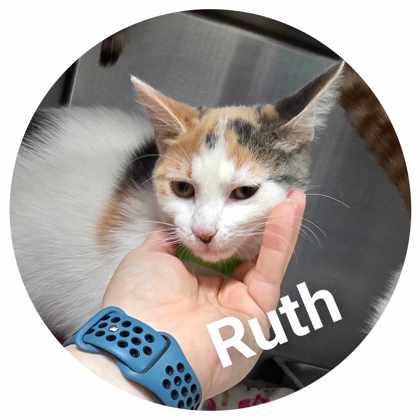 Ruth