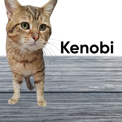 Kenobi