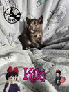 Kiki