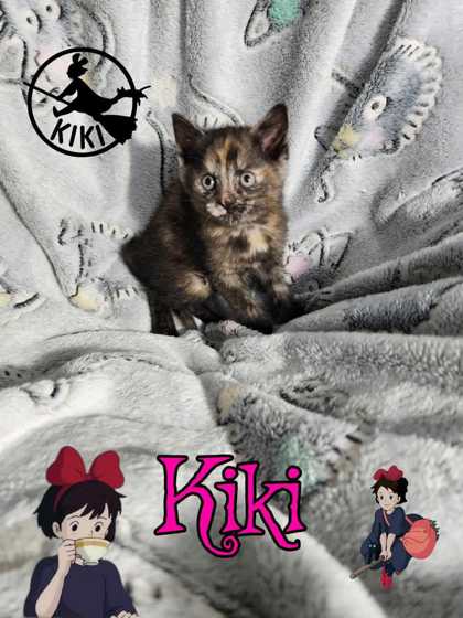 Kiki