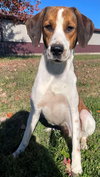 Roscoe