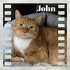 John