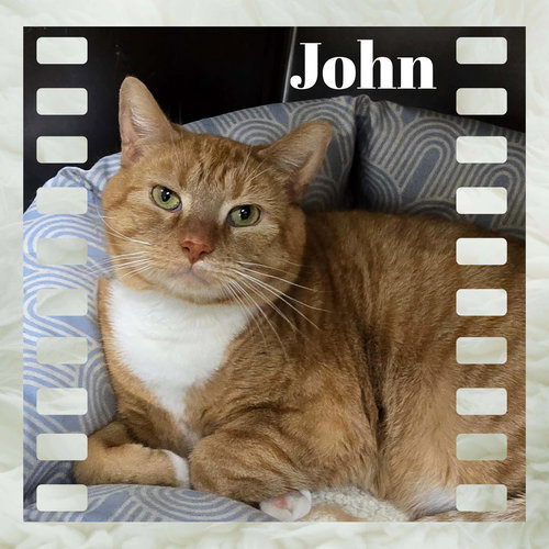 John
