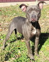 Roxy