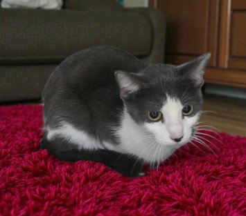 Jeanette Image
