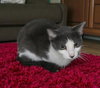 Jeanette - Photo 1