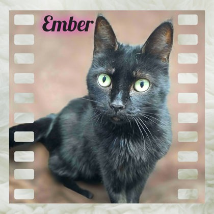 Ember Image