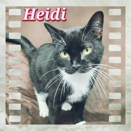 Heidi