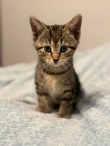 Spunky