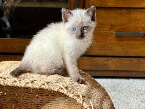 Whitey Tighty