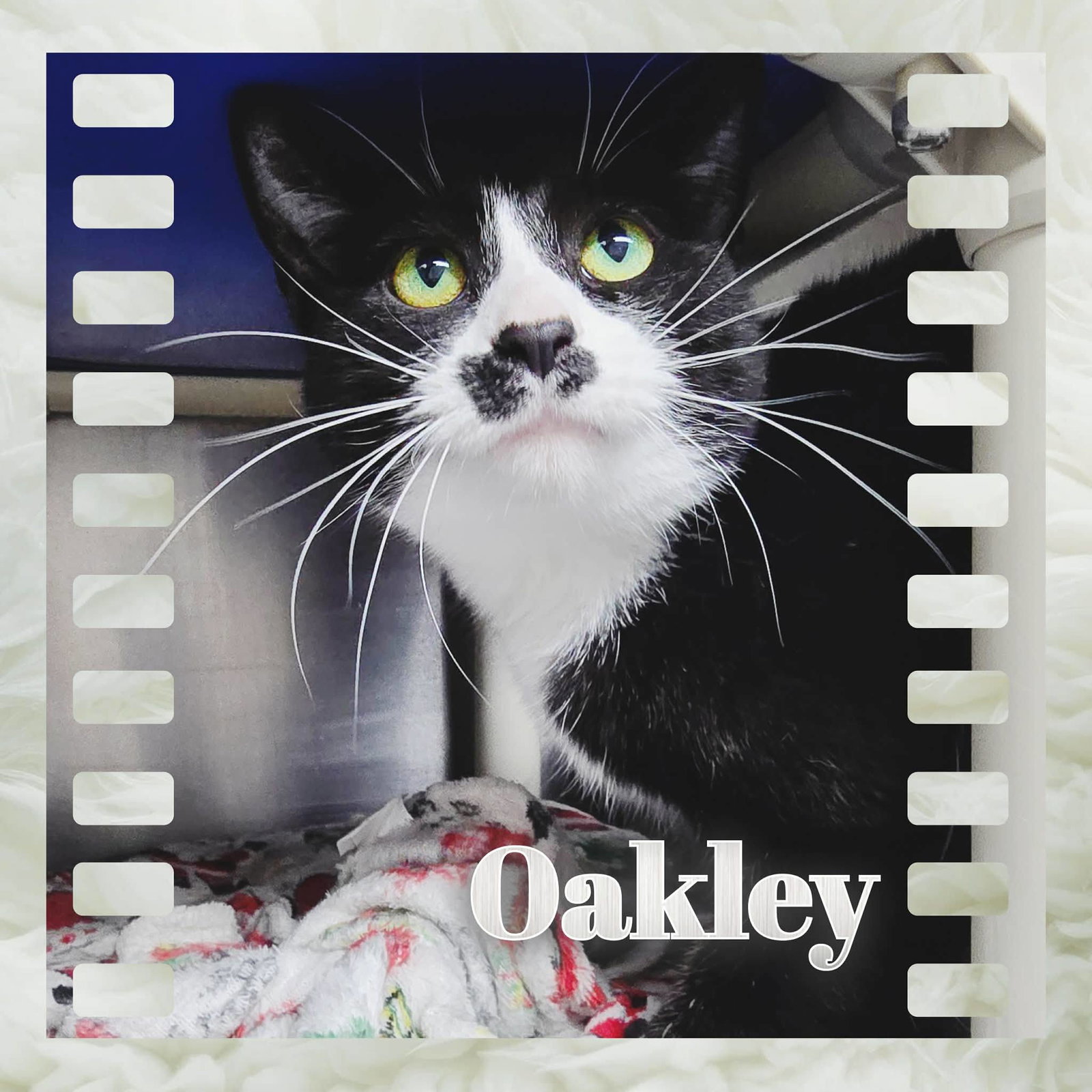 Oakley