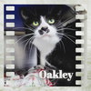 Oakley