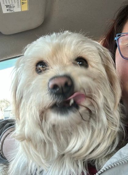 Charlie Image