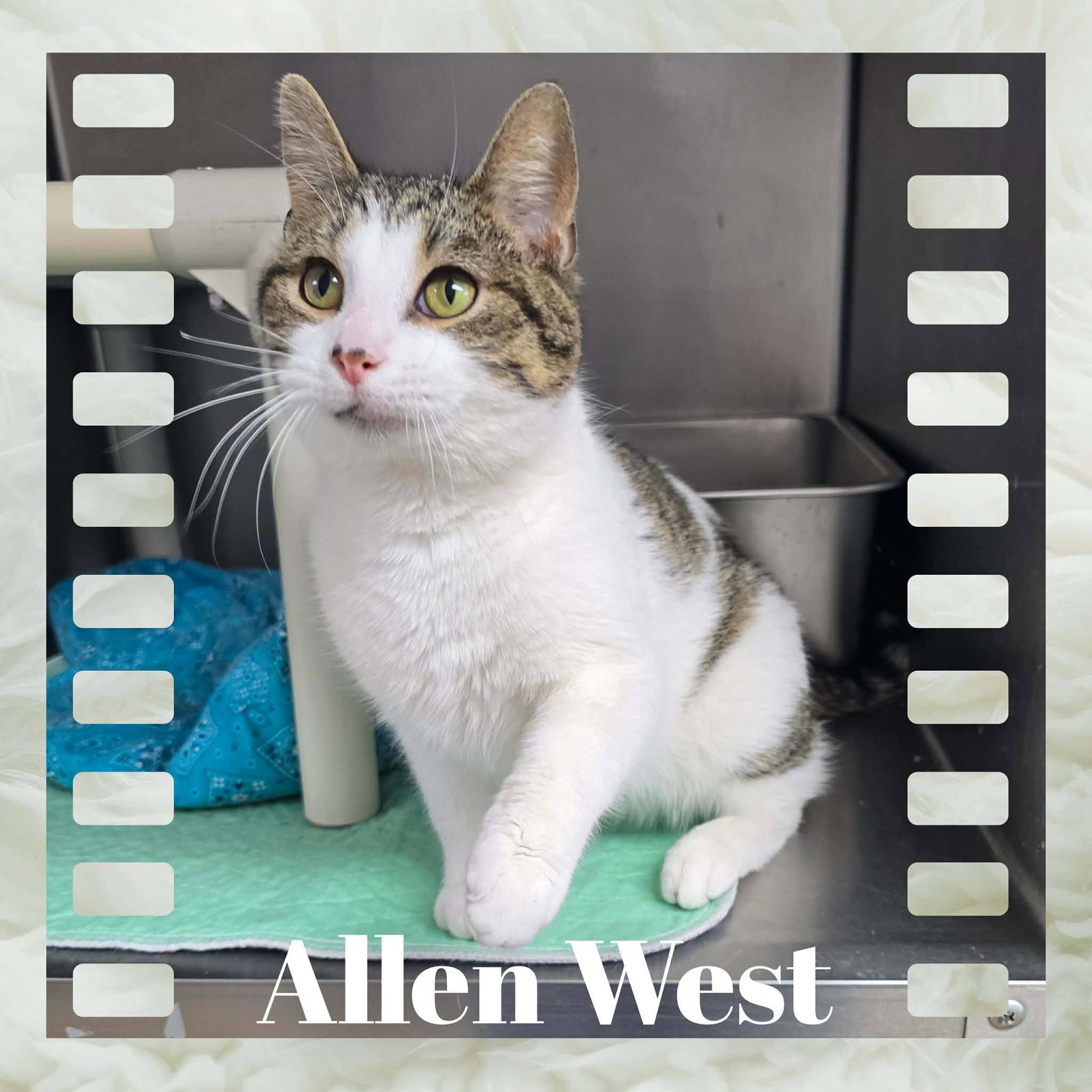 Allen West