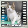 Allen West