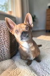 Pablo - Photo 1