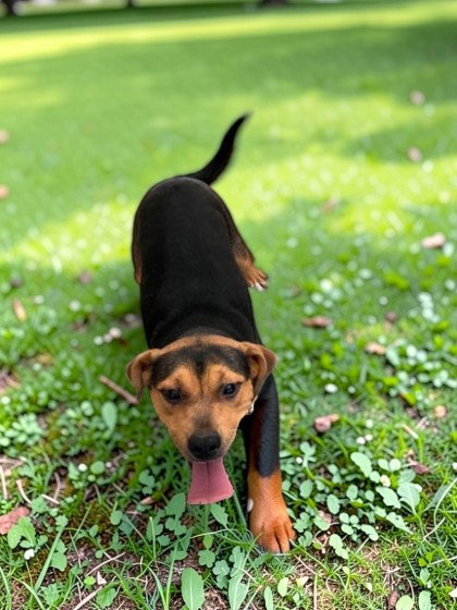 Fiona