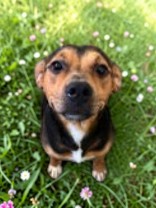 Fiona