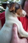 Blinky