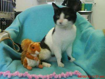Snoopy@Petsmart