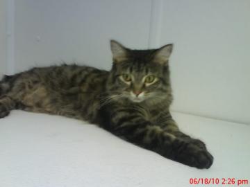 Sita@Petsmart