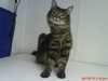 Sita@Petsmart