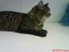 Sita@Petsmart