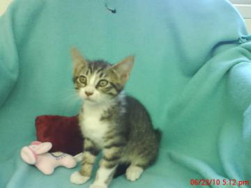 Grissom@Petsmart