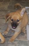 Buster