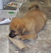 Buster