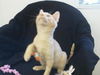 Jo Di Maggio@Petsmart