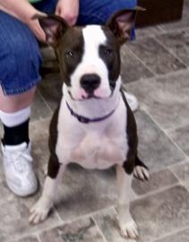 Duke