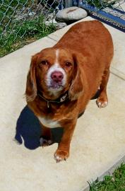 Copper