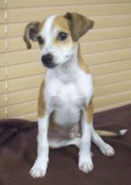 Diego