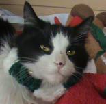 Jezzy Bell@Petsmart